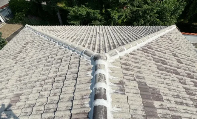 Nettoyage de toiture et hydrofugation colorée à Andrézieux-Boutéon, Saint-Étienne, PRO MT RENOVATION