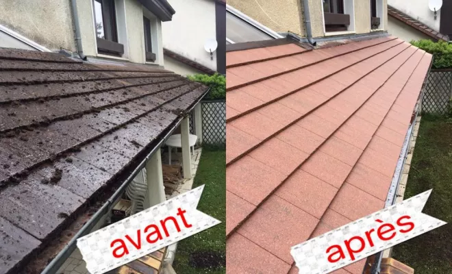 Traitement DALEP, Saint-Étienne, PRO MT RENOVATION