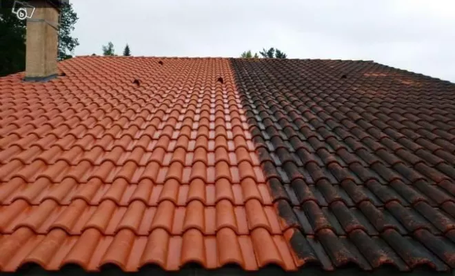 Traitement DALEP, Saint-Étienne, PRO MT RENOVATION